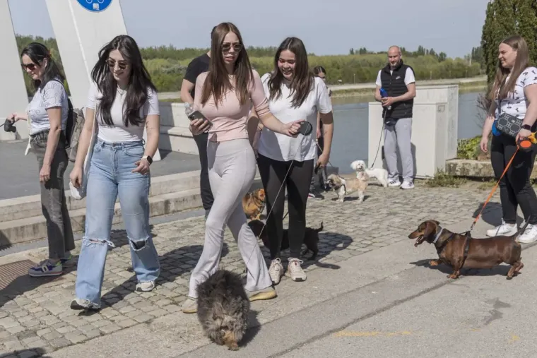 Kad se pojavi ovakva brineta, sve ostalo pada u drugi plan: Lijepa legica ukrala show