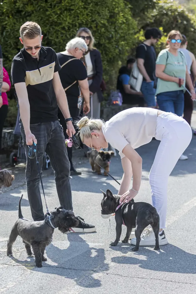 Kad se pojavi ovakva brineta, sve ostalo pada u drugi plan: Lijepa legica ukrala show