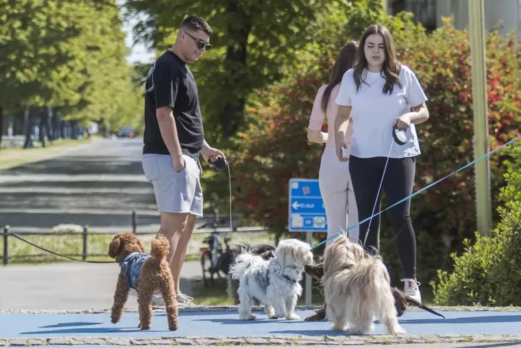 Kad se pojavi ovakva brineta, sve ostalo pada u drugi plan: Lijepa legica ukrala show