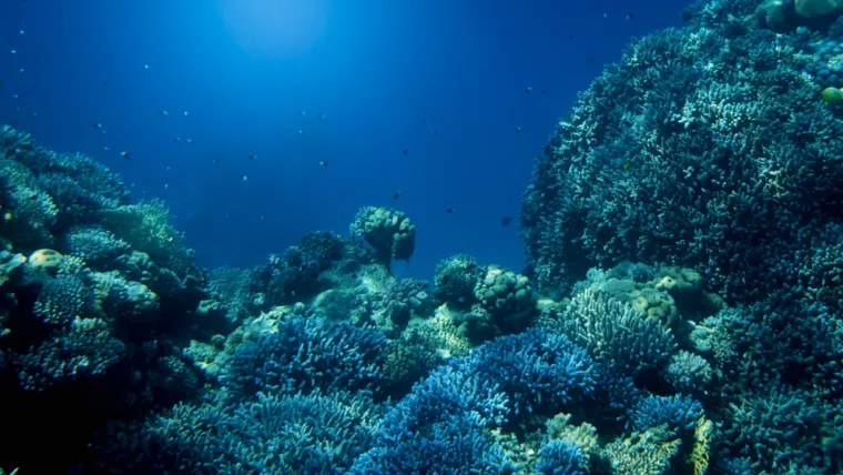 Nemojte zabrljati na ovom kvizu: Svaki stanovnik Zemlje trebao bi znati sljedeće činjenice