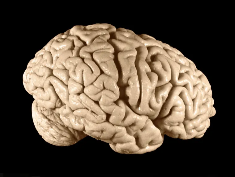 Za ove činjenice vjerojatno nikad niste čuli: Ovo je mračna strana Alberta Einsteina