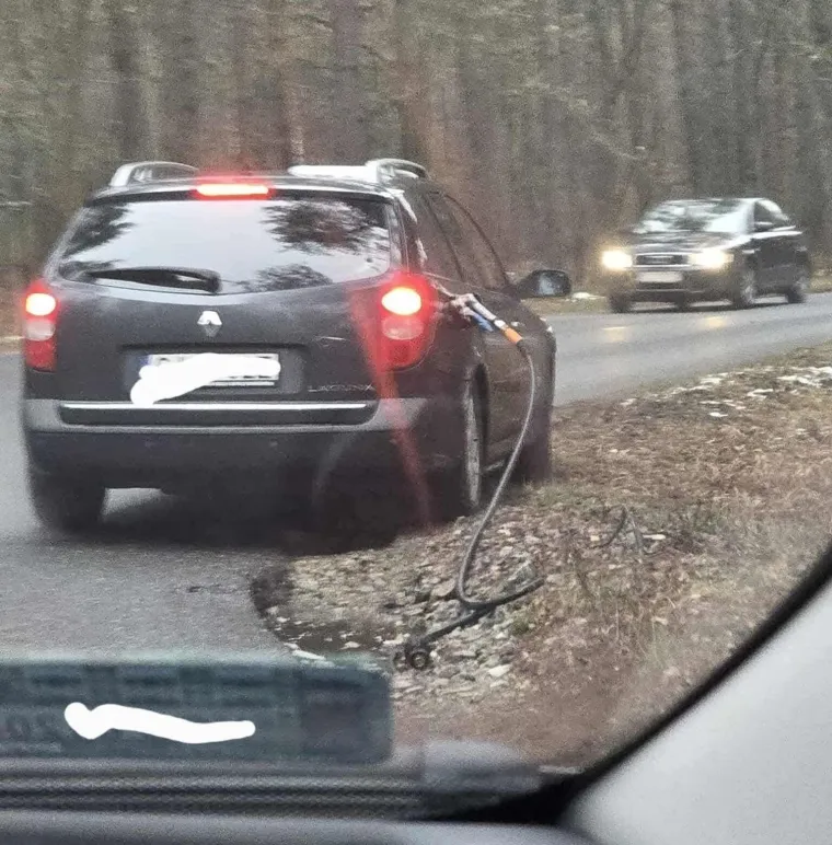 Uskoro će ih u Hrvatsku stići vi&scaron;e od milijun, a o sebi vole reći da su posebno stanje uma