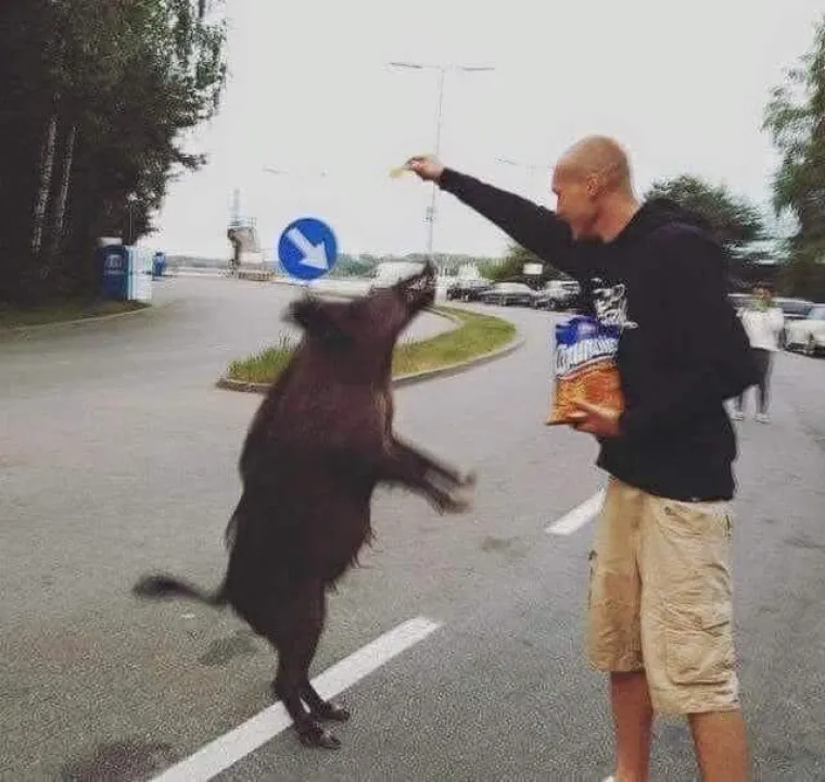 Uskoro će ih u Hrvatsku stići vi&scaron;e od milijun, a o sebi vole reći da su posebno stanje uma