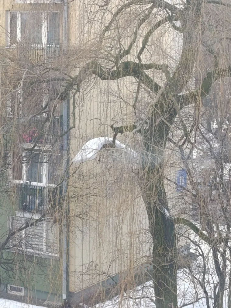 Uskoro će ih u Hrvatsku stići vi&scaron;e od milijun, a o sebi vole reći da su posebno stanje uma