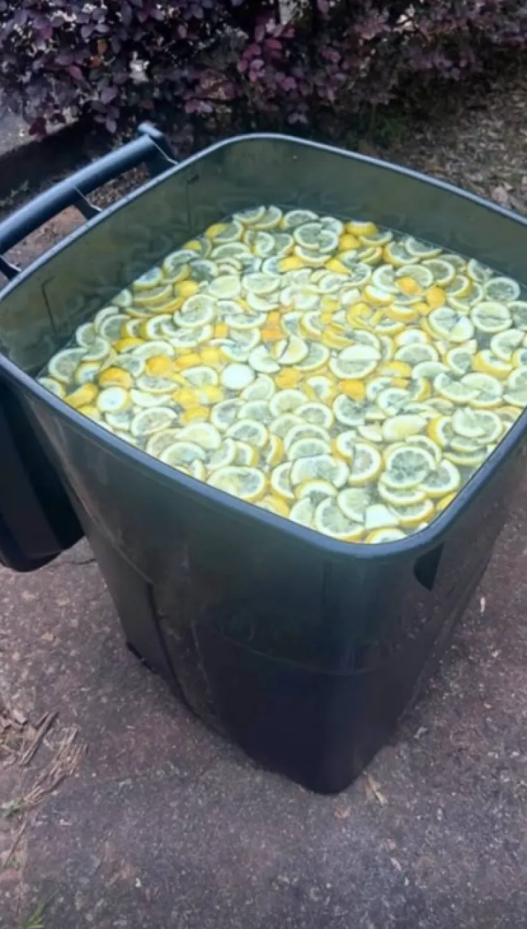 Od hot doga do supružnika: Nevjerojatno &scaron;to su sve ljudi poku&scaron;ali prodati za smije&scaron;ne cijene