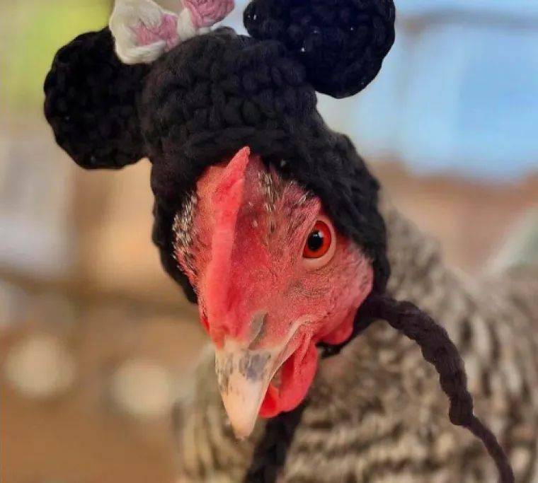 Od hot doga do supružnika: Nevjerojatno &scaron;to su sve ljudi poku&scaron;ali prodati za smije&scaron;ne cijene