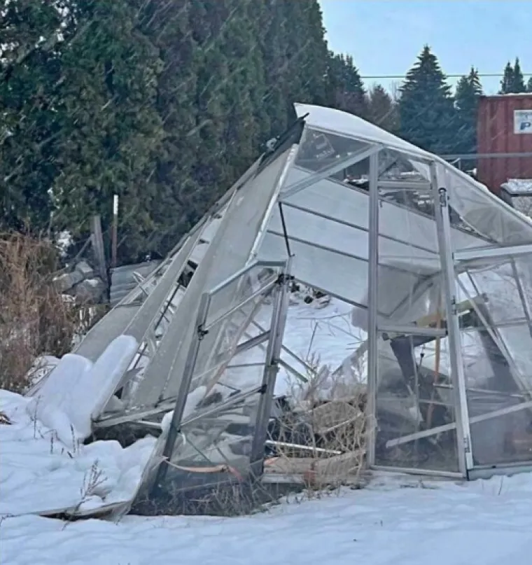 Od hot doga do supružnika: Nevjerojatno &scaron;to su sve ljudi poku&scaron;ali prodati za smije&scaron;ne cijene