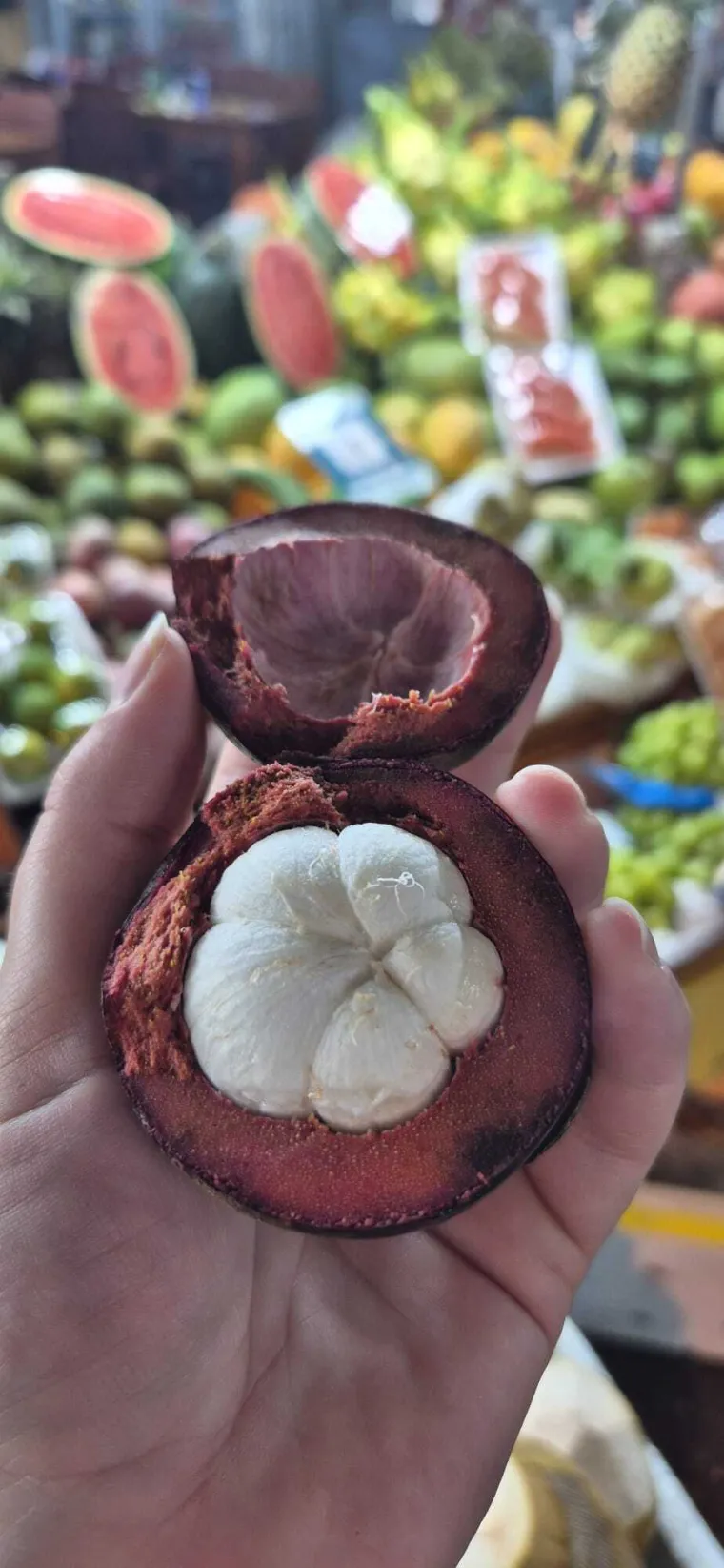 Svi pričaju o raju, ali je li ba&scaron; sve idealno? Iz prve ruke, ovakav Vijetnam rijetko vidite