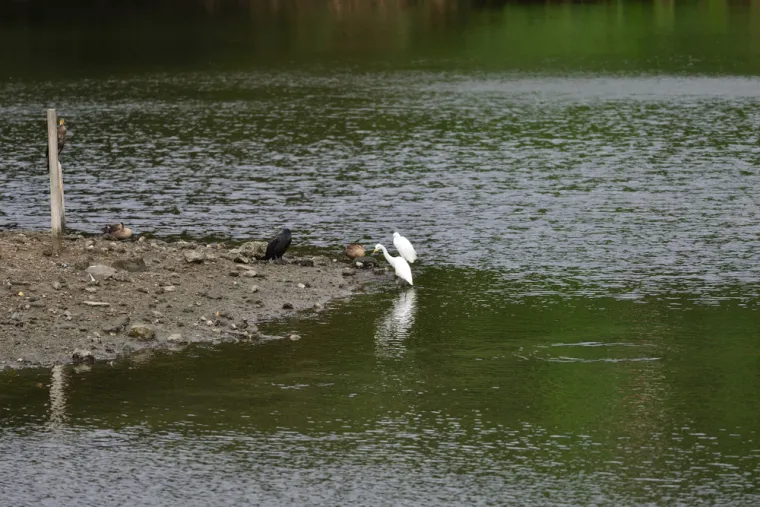 Na ovih 25 mjesta diljem svijeta zabranjen je posjet: Saznajte &scaron;to se tamo krije