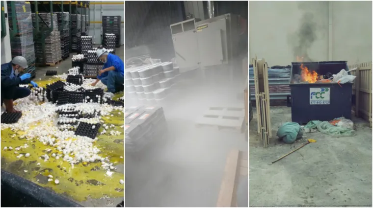 Ovi ljudi imali su užasne dane na poslu: U sekundi im se sve raspalo, prizori su grozni