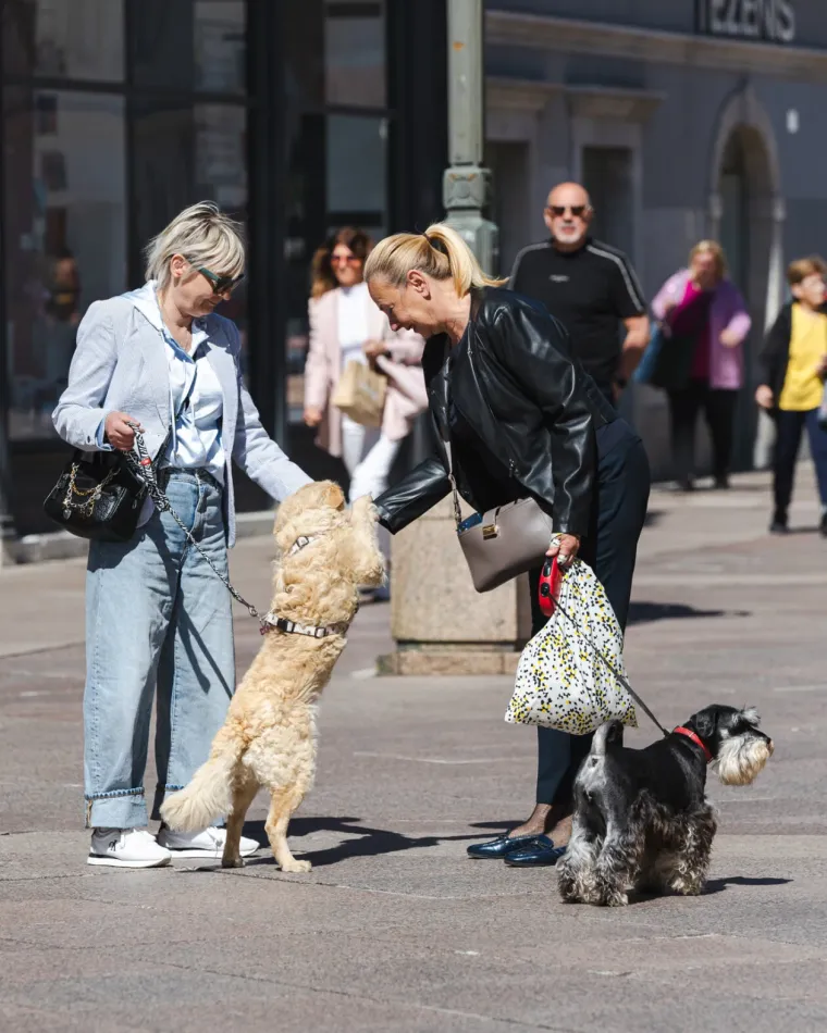 Mini suknje zavladale riječkim Korzom: Vitke noge lijepih dama ukrale sve poglede