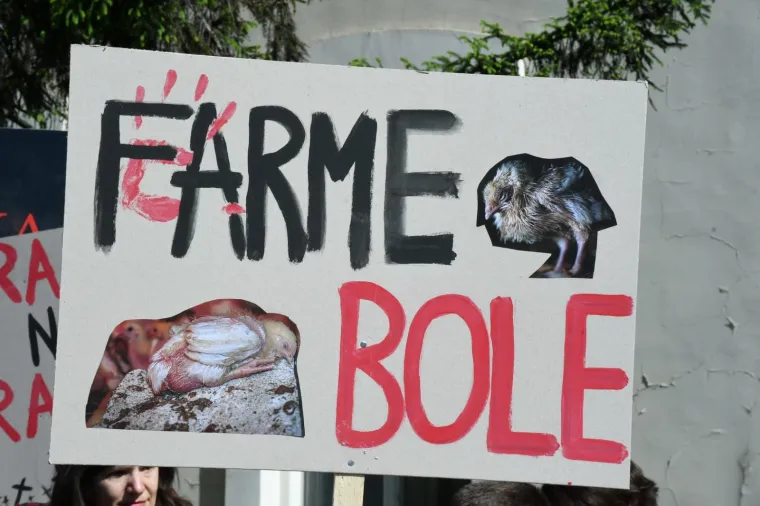 Sisak na nogama, poslane žestoke poruke protiv megafarmi i klaonica: 'Profit njima, smrad nama'