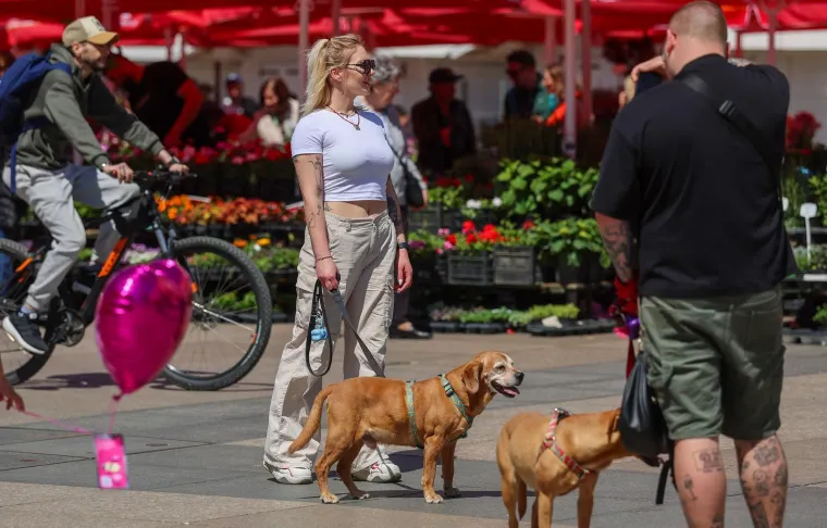 Ljeto nam se vratilo? Ove su ljepotice danas podigle temperaturu u sredi&scaron;tu Zagreba