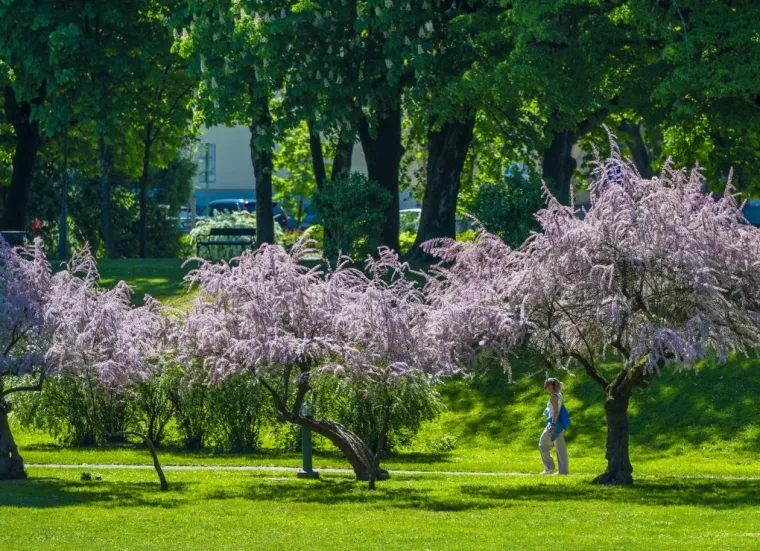 Sunce izmamilo Karlovčane: Građani pohrlili na ulice grada, pogledajte tko je sve bio
