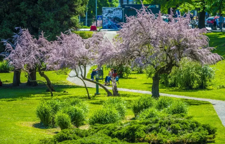 Sunce izmamilo Karlovčane: Građani pohrlili na ulice grada, pogledajte tko je sve bio