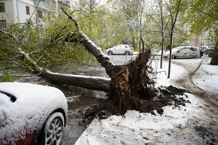 Moskva okovana snijegom: Padala stabla, otkazani letovi, a najgore tek dolazi