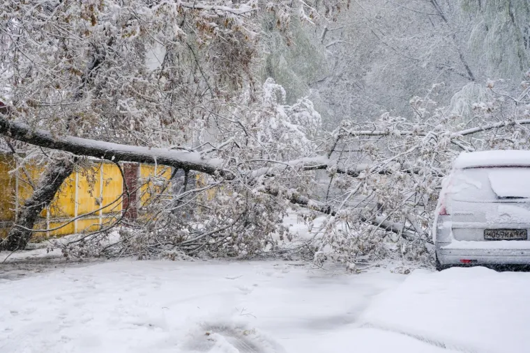 Moskva okovana snijegom: Padala stabla, otkazani letovi, a najgore tek dolazi