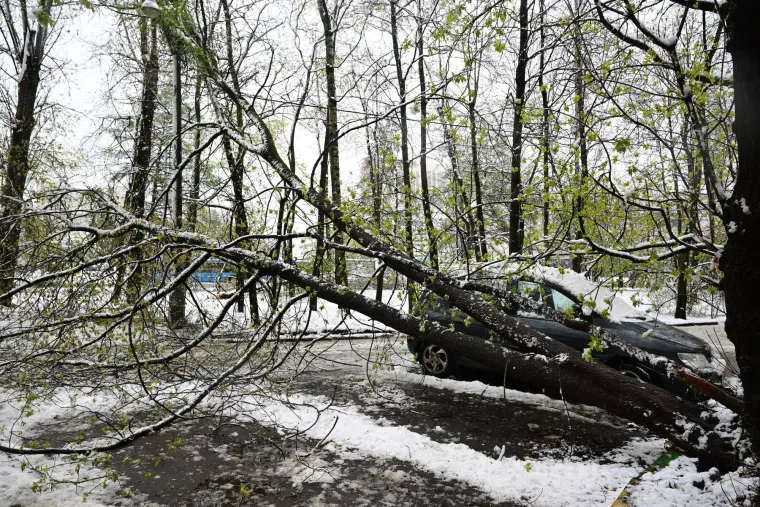 Moskva okovana snijegom: Padala stabla, otkazani letovi, a najgore tek dolazi