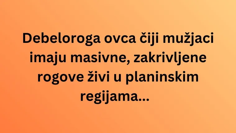 Zna&scaron; li s kojih kontinenata dolaze ove životinjske vrste? Neka pitanja mogla bi vas zbuniti