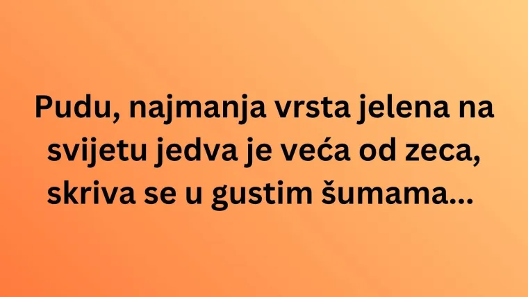 Zna&scaron; li s kojih kontinenata dolaze ove životinjske vrste? Neka pitanja mogla bi vas zbuniti