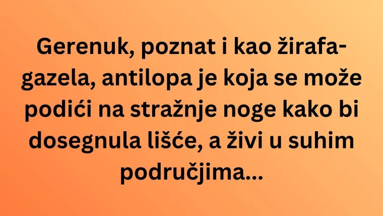 Zna&scaron; li s kojih kontinenata dolaze ove životinjske vrste? Neka pitanja mogla bi vas zbuniti