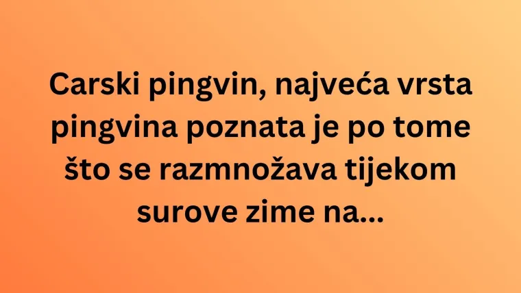 Zna&scaron; li s kojih kontinenata dolaze ove životinjske vrste? Neka pitanja mogla bi vas zbuniti