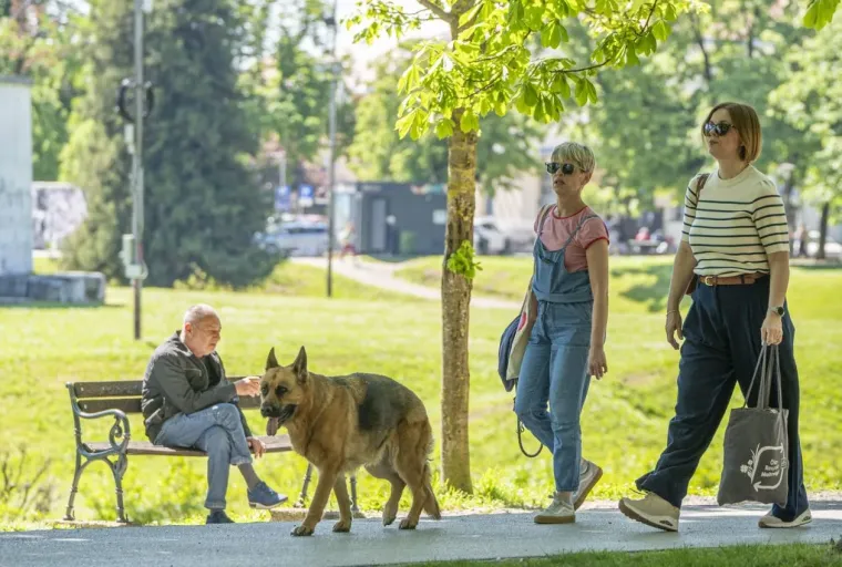 Modni đir koji osvaja: U outfitima na prugice Karlovčanke pokazale kako se nosi proljeće sa stilom