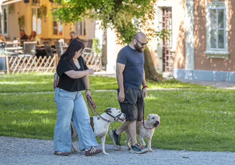 Modni đir koji osvaja: U outfitima na prugice Karlovčanke pokazale kako se nosi proljeće sa stilom