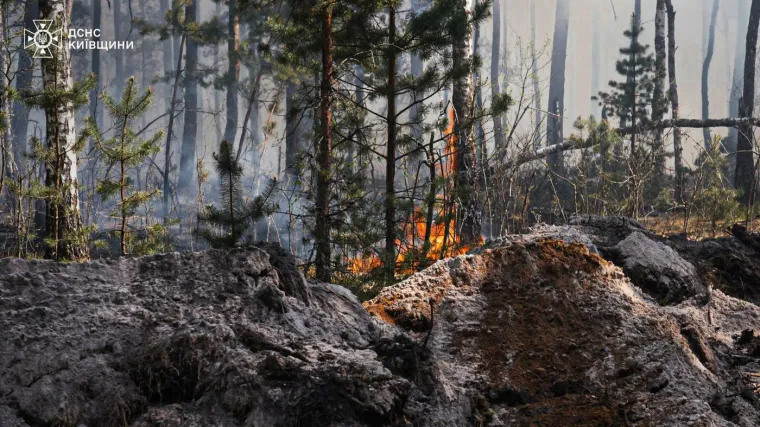 Gori černobilska &scaron;uma: Vatrogasci se bore s vatrenom stihijom u 'zoni ograničenja'