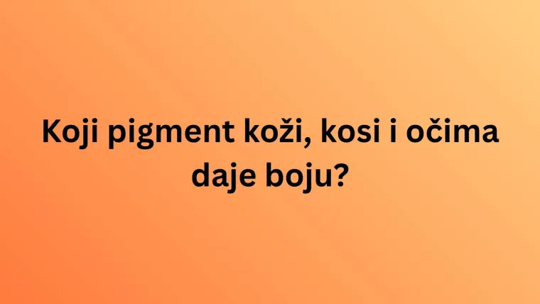 Smatra&scaron; se hodajućom enciklopedijom? Onda je vrijeme da se oku&scaron;a&scaron; na ovim kviza&scaron;kim pitanjima