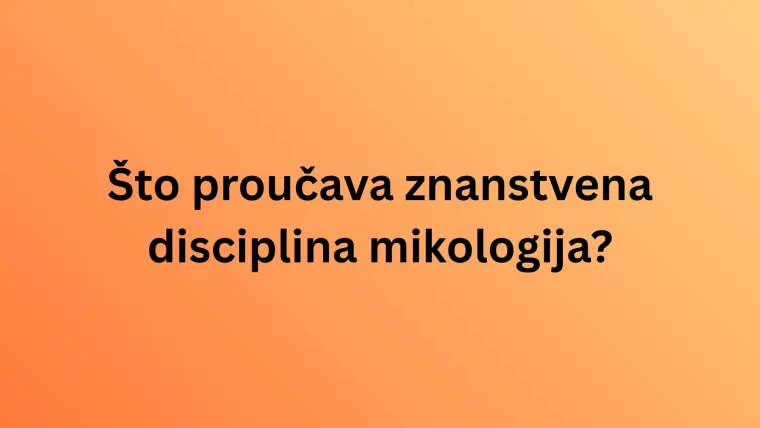 Smatra&scaron; se hodajućom enciklopedijom? Onda je vrijeme da se oku&scaron;a&scaron; na ovim kviza&scaron;kim pitanjima