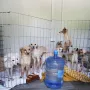 Kakvi prizori! Živjeli su u paklu, a sada su napokon spašeni: Ovo je kuća koja je šokirala javnost