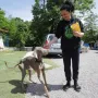 Kakvi prizori! Živjeli su u paklu, a sada su napokon spašeni: Ovo je kuća koja je šokirala javnost