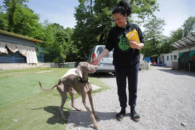 Kakvi prizori! Živjeli su u paklu, a sada su napokon spa&scaron;eni: Ovo je kuća koja je &scaron;okirala javnost