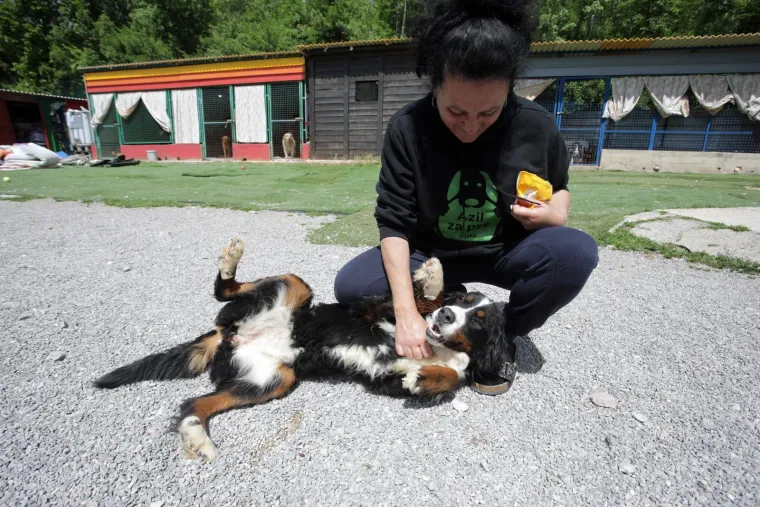 Kakvi prizori! Živjeli su u paklu, a sada su napokon spa&scaron;eni: Ovo je kuća koja je &scaron;okirala javnost