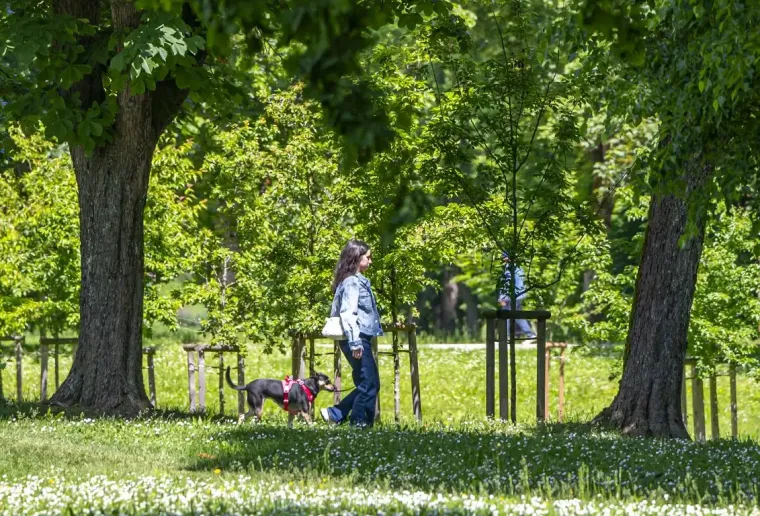 Oni su iskoristili sunčanu nedjelju za rekreaciju: Evo tko bira bicikl, a tko uživa u &scaron;etnji