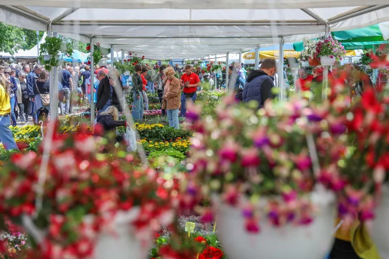 Zagrepčani jedva dočekali sunce pa pohrlili na Flora Art: Pogledajte prizore s prave proljetne razglednice