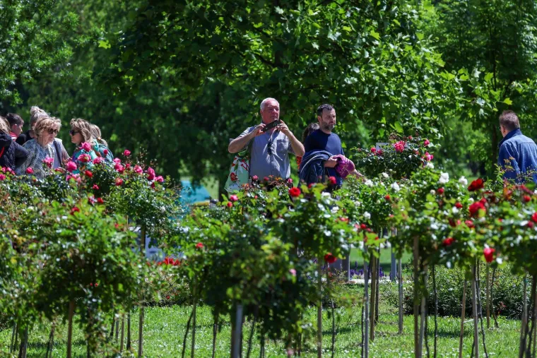 Zagrepčani jedva dočekali sunce pa pohrlili na Flora Art: Pogledajte prizore s prave proljetne razglednice