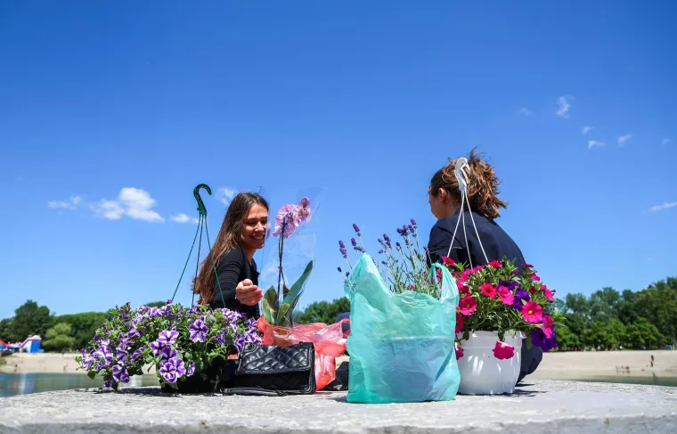 Zagrepčani jedva dočekali sunce pa pohrlili na Flora Art: Pogledajte prizore s prave proljetne razglednice
