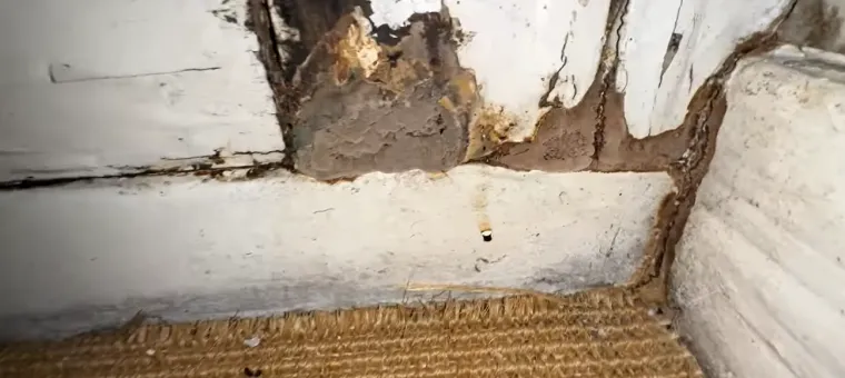 Pretvorio je napu&scaron;tenu kuću u luksuzan dom iz snova: Za preuređenje je izdvojio papren iznos