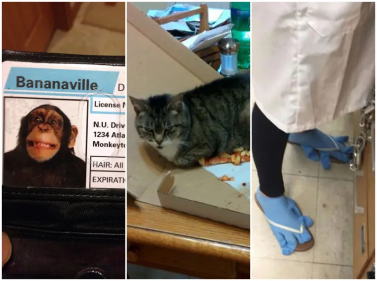 Zaboravnost ih je odvela u tako nezgodne situacije da se to naprosto moralo zabilježiti kamerama