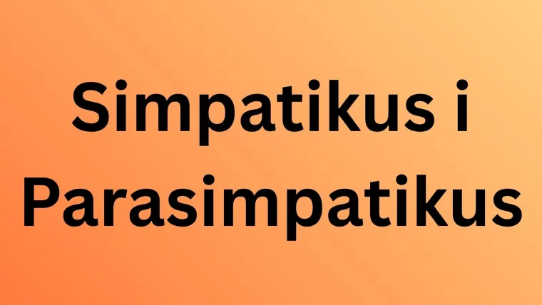 Poku&scaron;aj imati sve točno na zahtjevnim pitanjima iz anatomije, ali pazi jer se lako poskliznuti