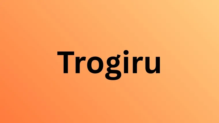 Gotovo je nemoguće točno odgovoriti na pitanja o manje poznatim činjenicama o hrvatskim gradovima