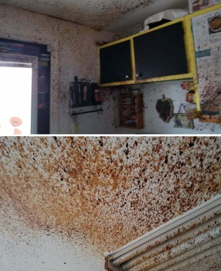 Ove fotke dokazuju da bi se neki ljudi zbilja trebali kloniti kuhinje: Prizori su zastra&scaron;ujući