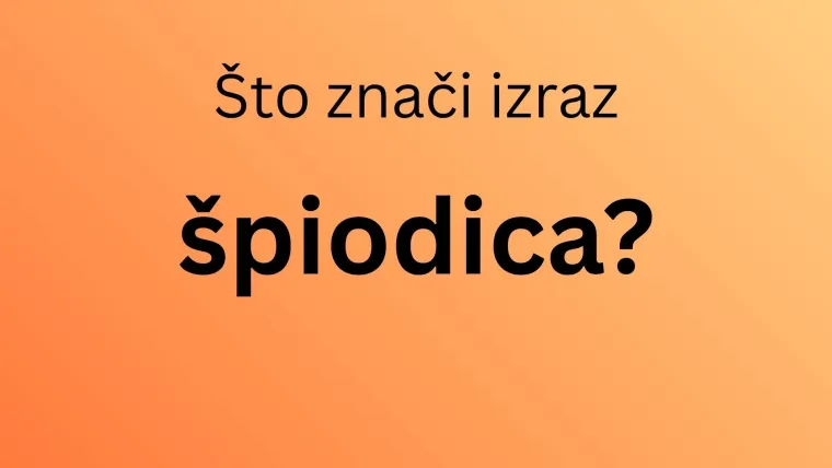 Da vidimo kako ćete se snaći u kvizu posvećenom hrvatskim izrazima koji se danas rijetko koriste