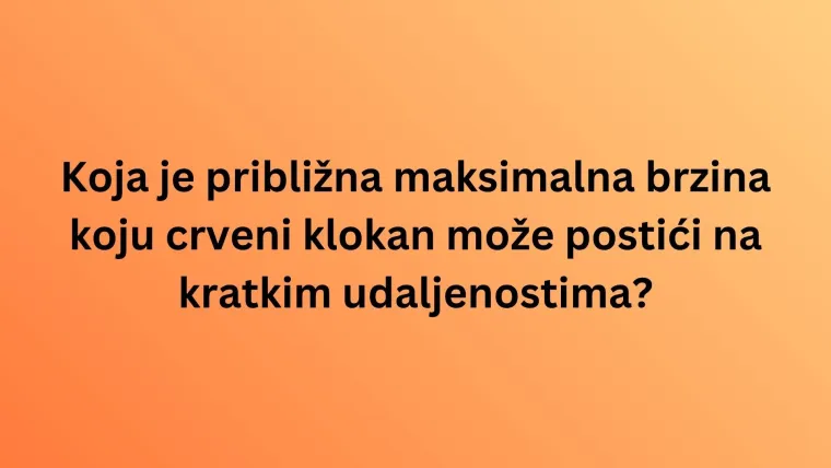 Fauna Australije je bogata brojnim vrstama, dokažite u kvizu da ih dobro poznajete