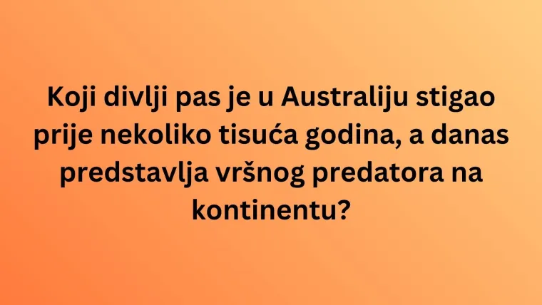 Fauna Australije je bogata brojnim vrstama, dokažite u kvizu da ih dobro poznajete
