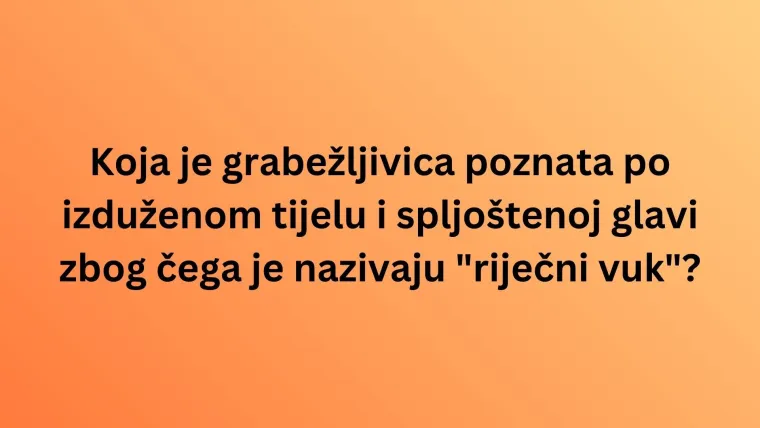 Koliko činjenica o slatkovodnim ribama Hrvatske zna&scaron;? Dokaži da ti nisu nepoznanica na kvizu