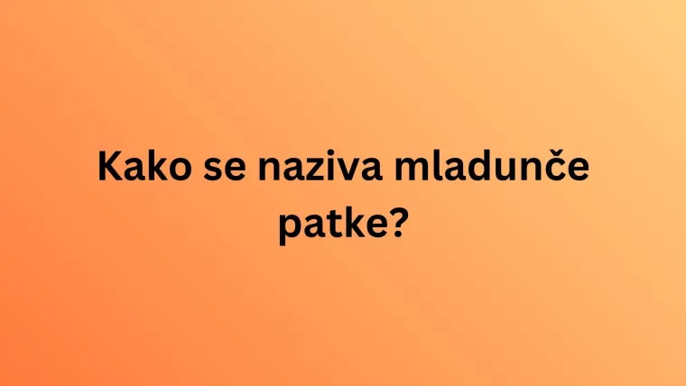 Nemojte razočarati na ovom kvizu o nazivima mladunaca životinja jer su pitanja stvarno laka