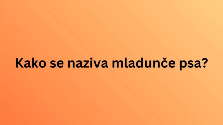 Nemojte razočarati na ovom kvizu o nazivima mladunaca životinja jer su pitanja stvarno laka